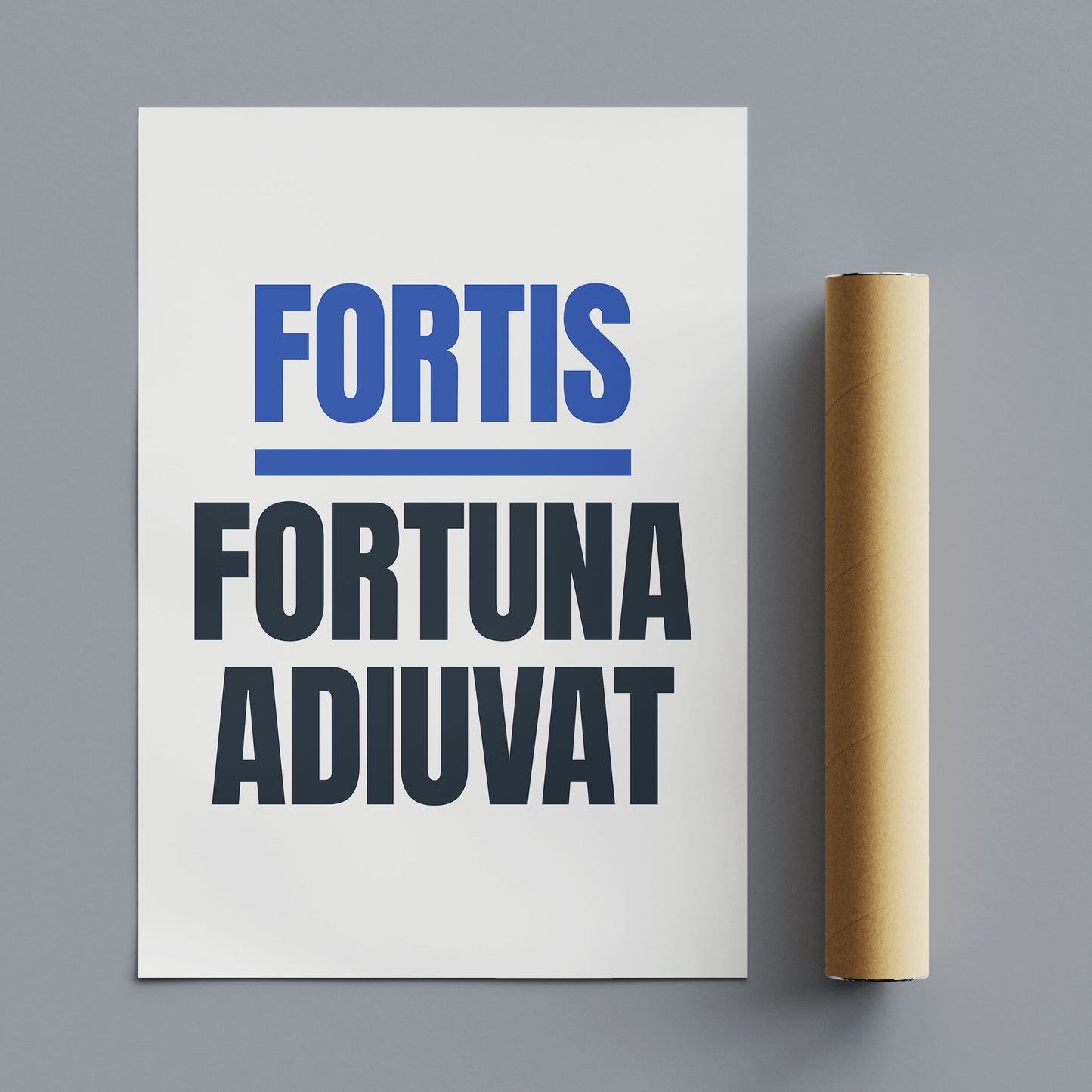 Fortis fortuna adiuvat | i