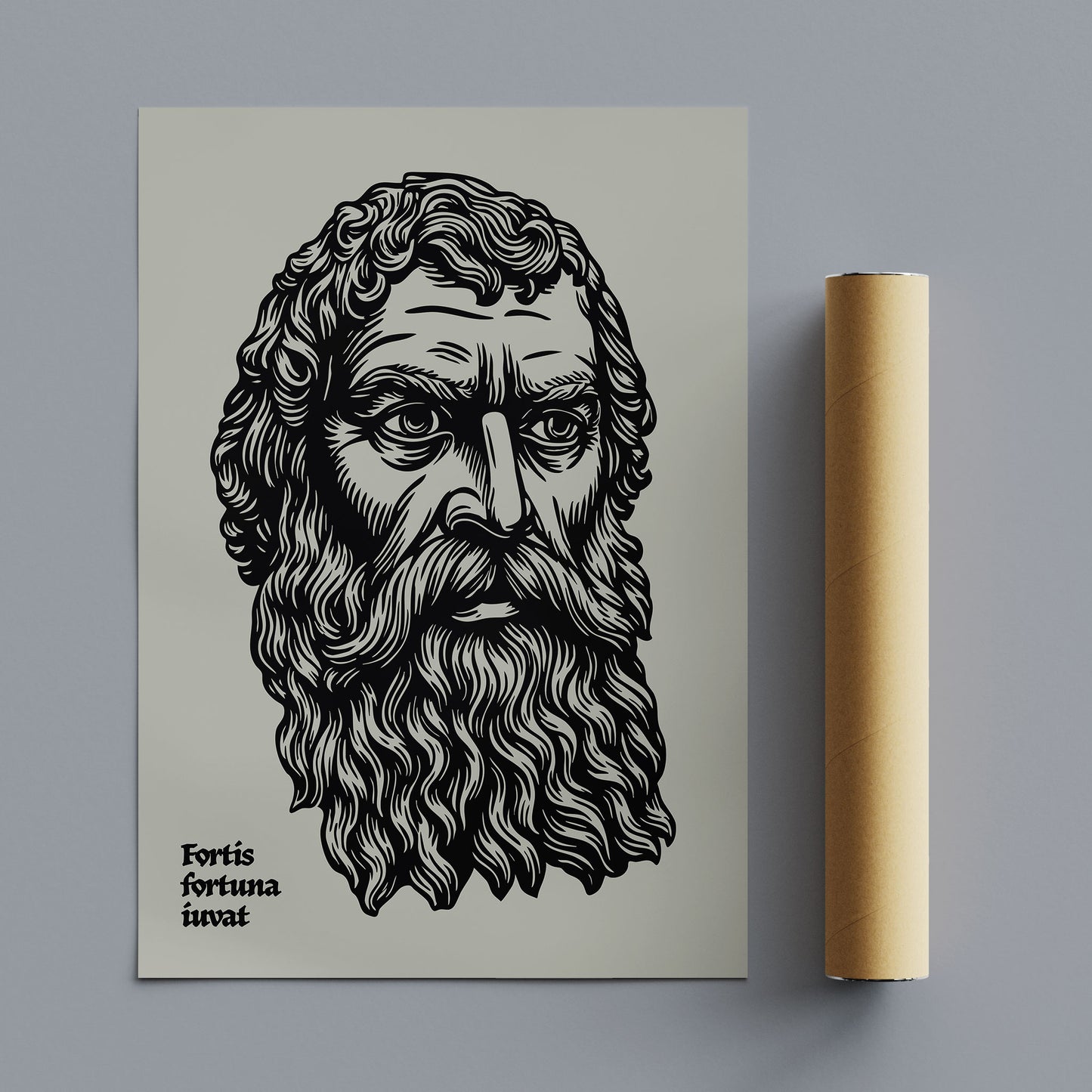 Fortis fortuna adiuvat | ii